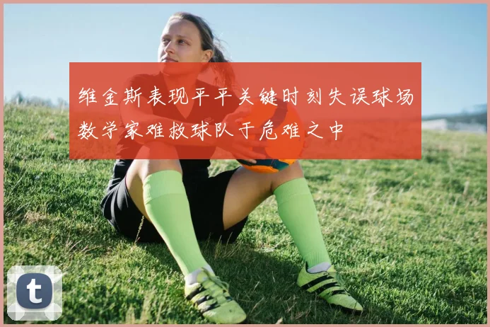 维金斯表现平平关键时刻失误球场数学家难救球队于危难之中